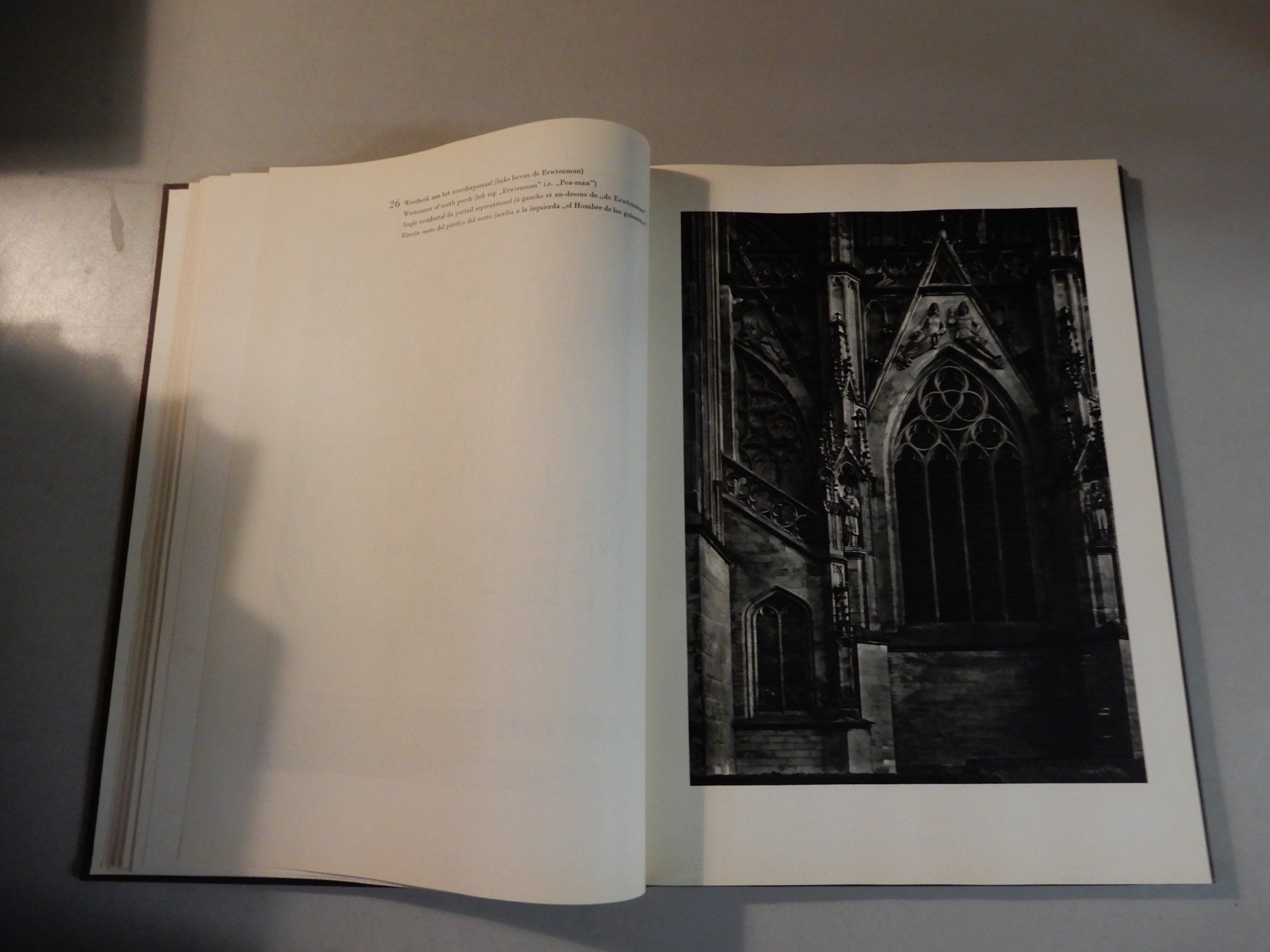 Libri: Antikes Buch: Thoughts in Stone, 1948, Elsevier – Usato da Erstfeld venduto da Mario_boe0 7