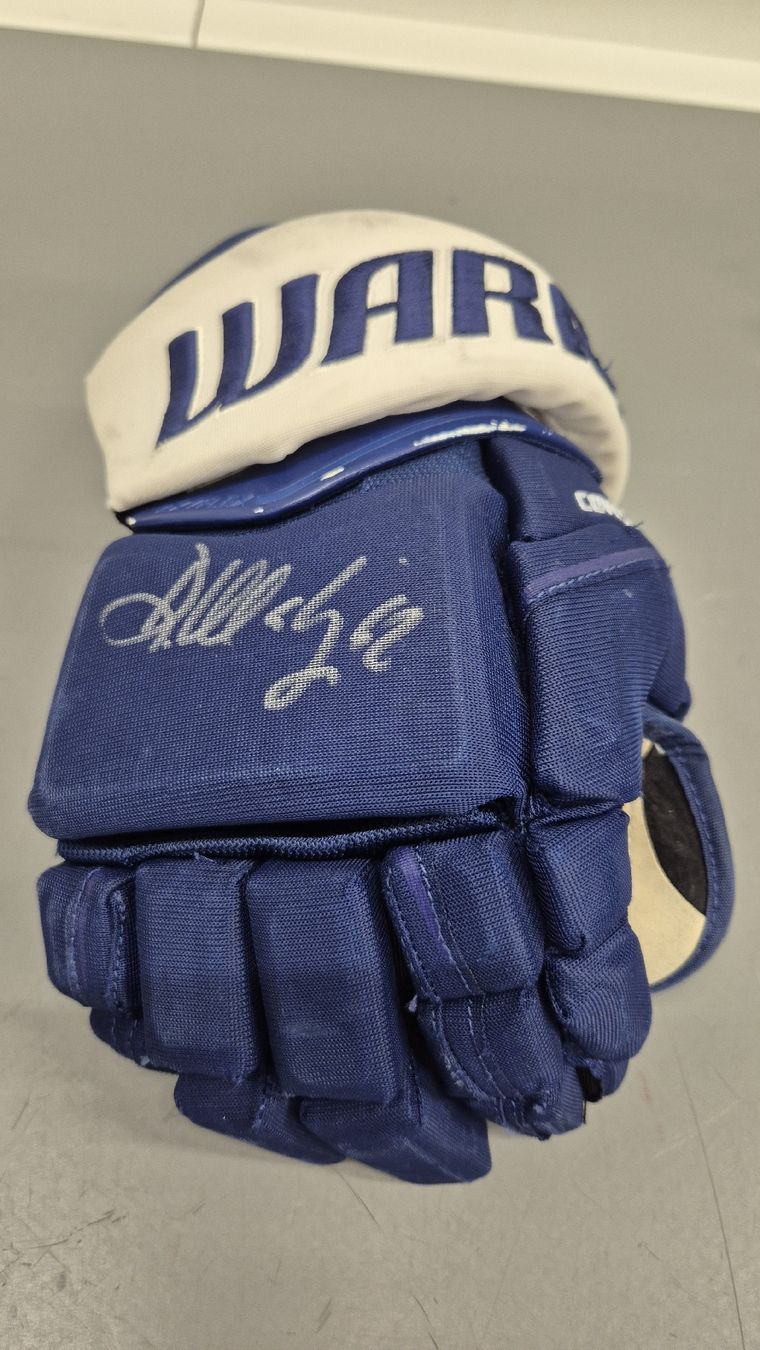 Altri accessori da uomo: rechter Eishockeyhandschuh Denis Malgin – Usato da Bünzen venduto da Wisel45