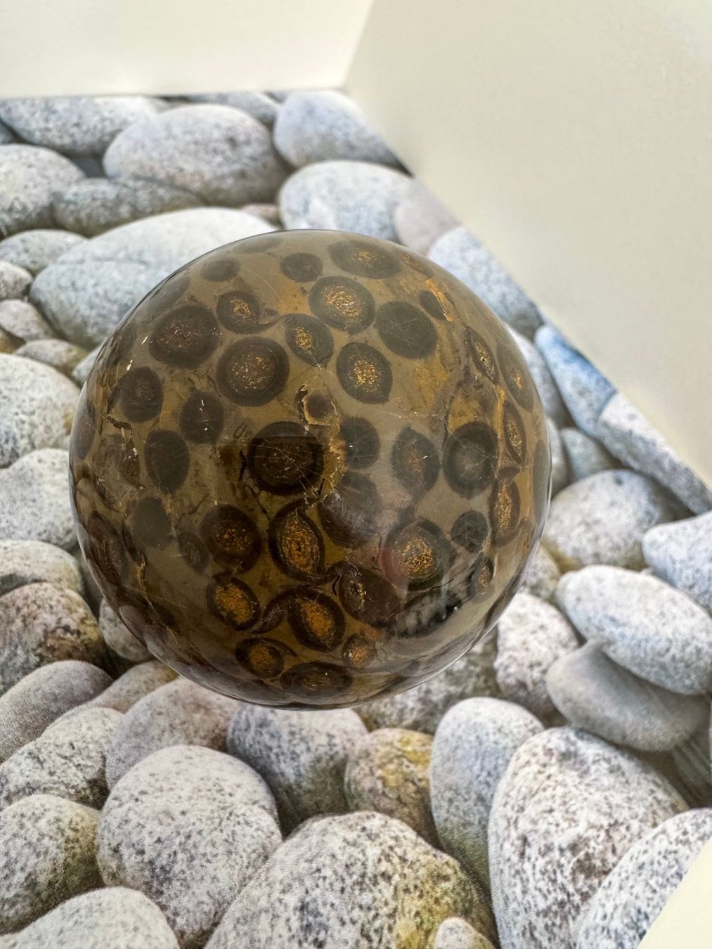 Pietre preziose: Kugel Leoparden-Jaspis – Nuovo (secondo la descrizione) da Biberist venduto da Steine 1
