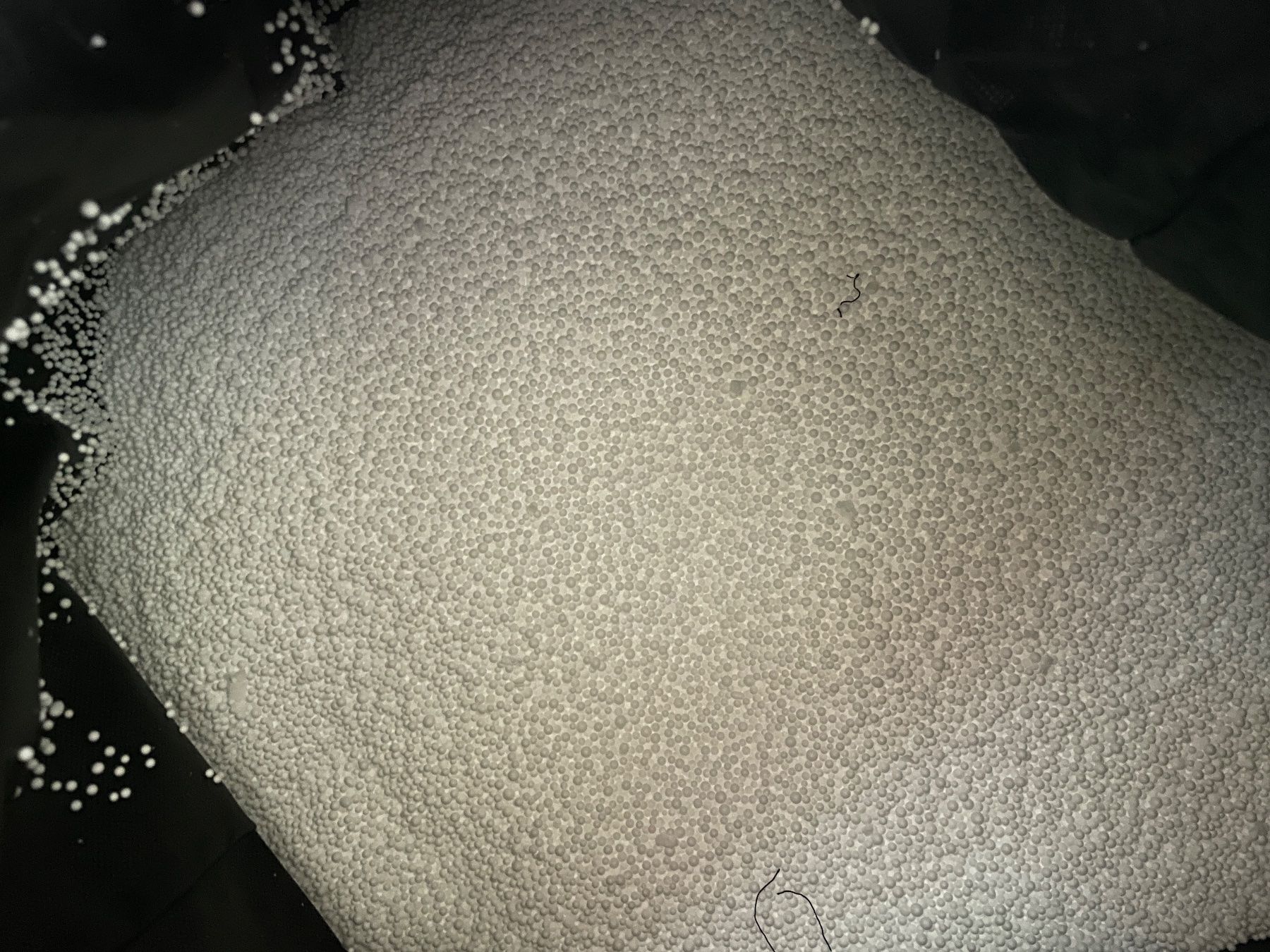 Materiale di riempimento: Sitzsack EPS-Perlen / Füllung / Styropor Bubble – Nuovo (secondo la descrizione) da Füllinsdorf venduto da bienli 2