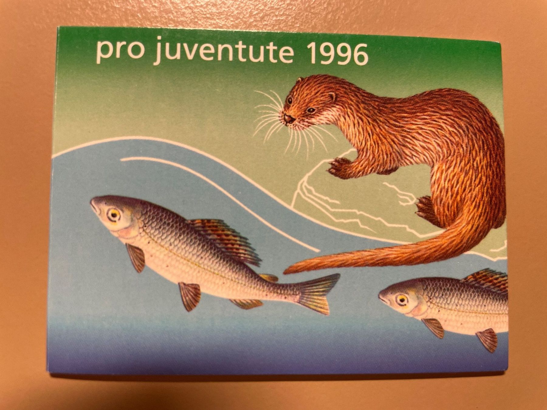 Tutti i francobolli: Pro Juventute 1996 Briefmarkenheft  1.Tag – Usato da Zürich venduto da R4853f