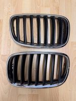 BMW E70 X5 Originale Nieren