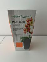 Lechuza Pflanzgefäss mit Bewässerung MAXI-CUBI in Orange