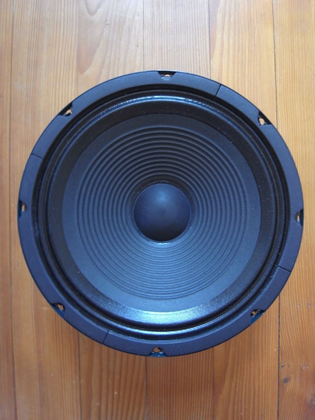 Verstärker: JENSEN CH 10/70 10" Speaker 70W – Gebraucht aus Bern von Bookerjazz 1