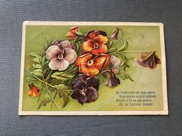 Alte Postkarte Blumenmotiv mit Schriftzug guter Zustand