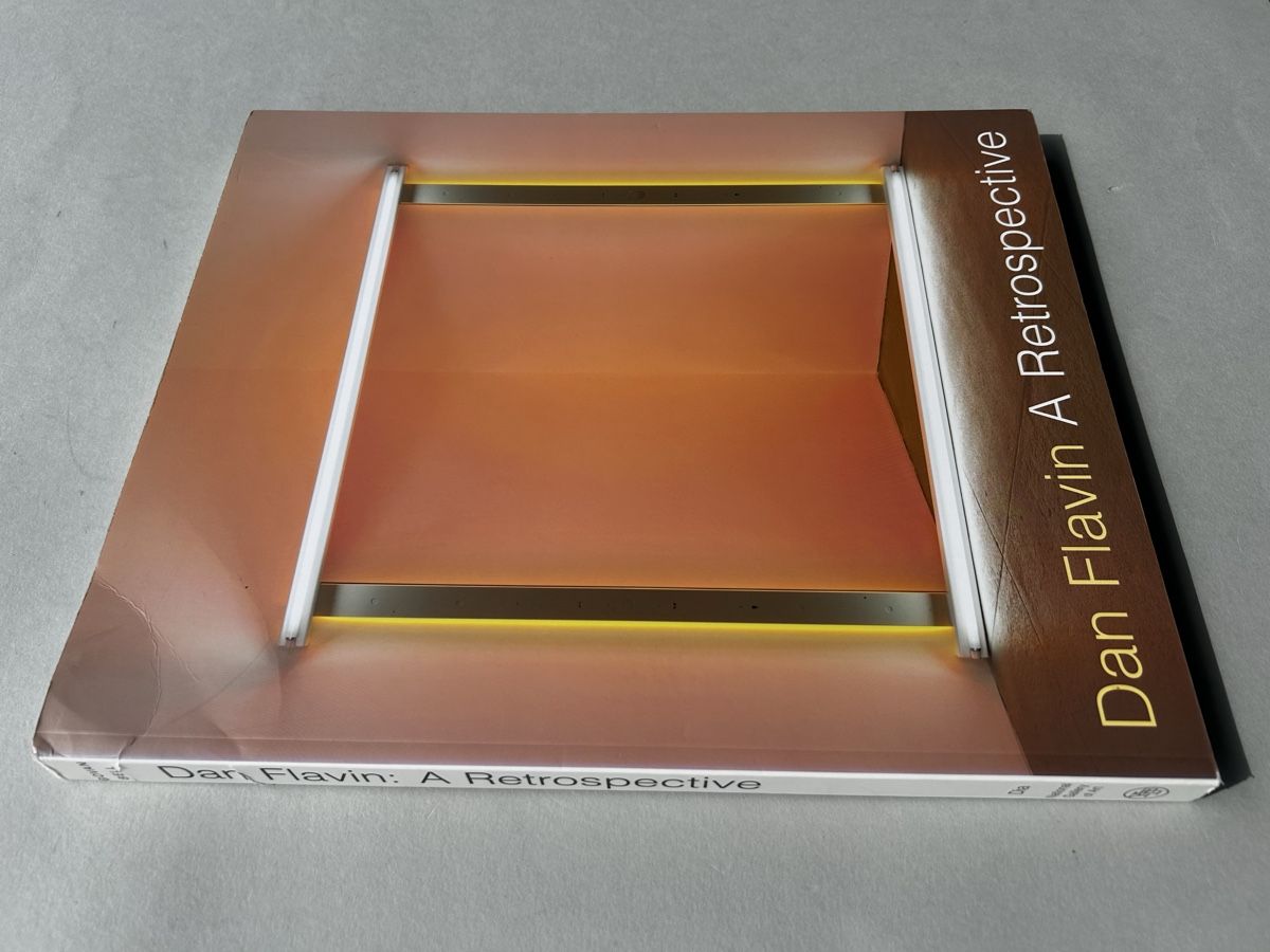 Libri: Dan Flavin A Retrospective Ausstellungskatalog – Usato da Zürich venduto da Coffeetable88 1