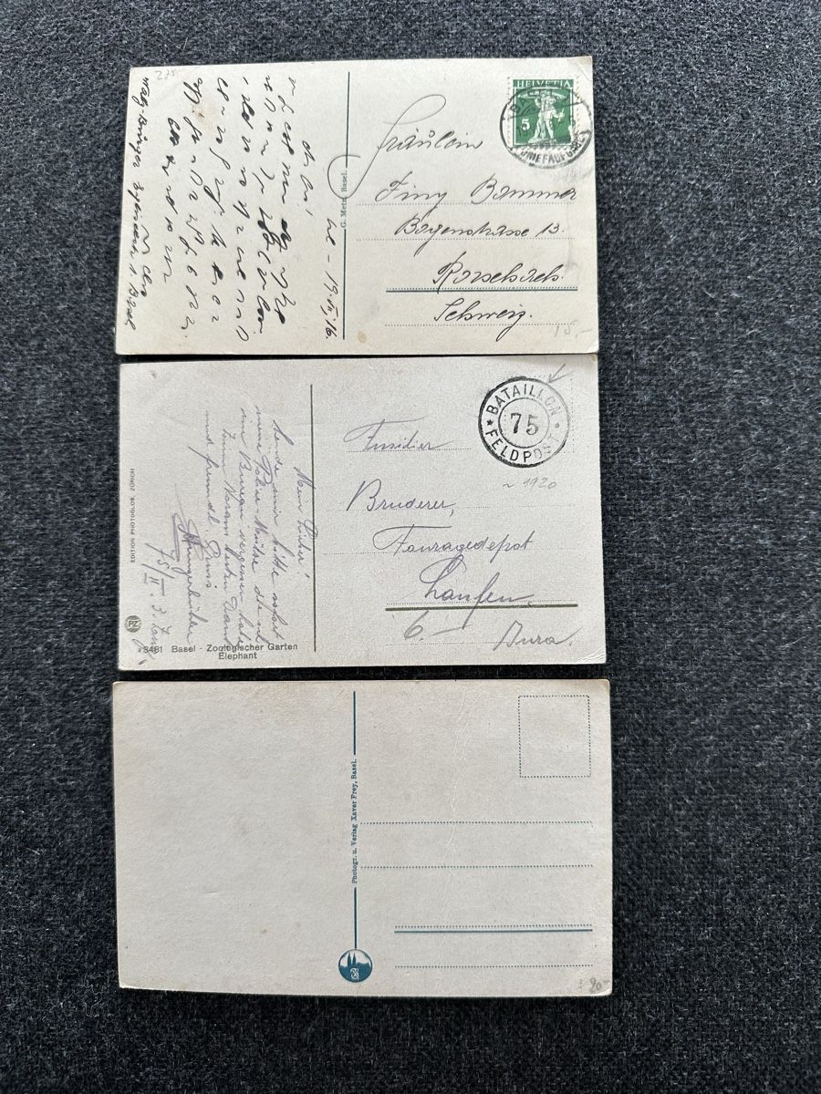 Cartes postales: Zoo Basel 1913, ca 1920 – D'occasion à Wettingen par Phibras 1