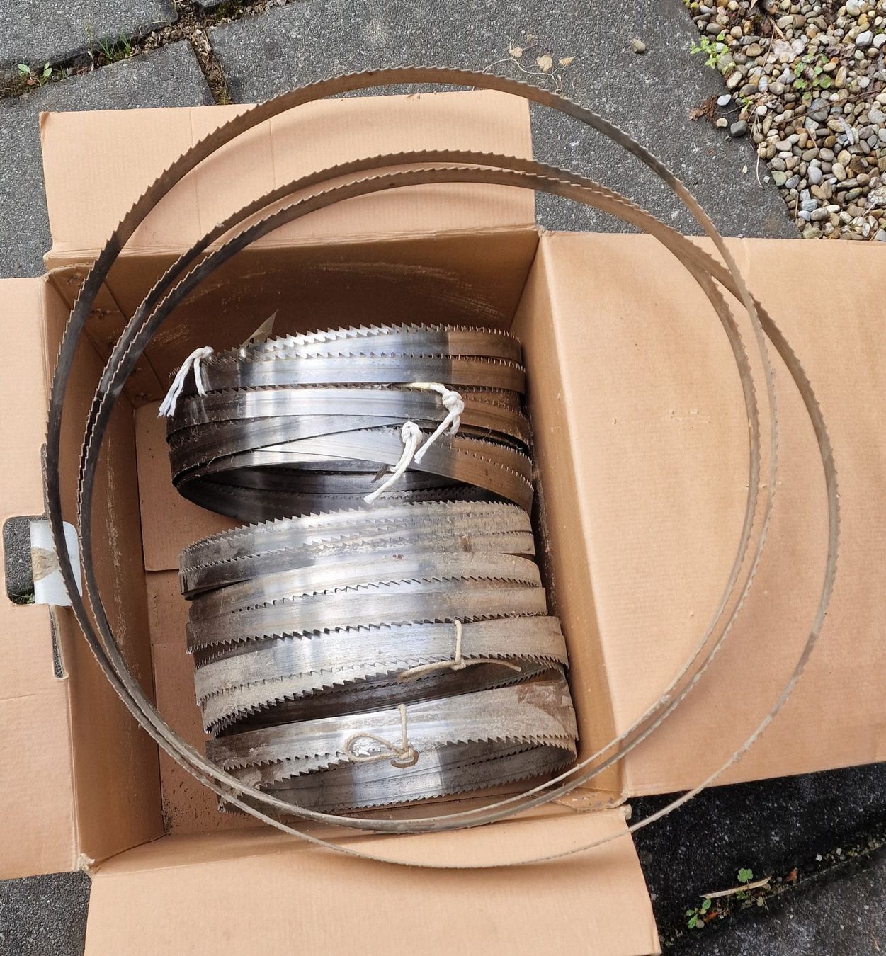 Seghe: Bandsäge 600 Profi – Usato da effretikon venduto da j.mo 4