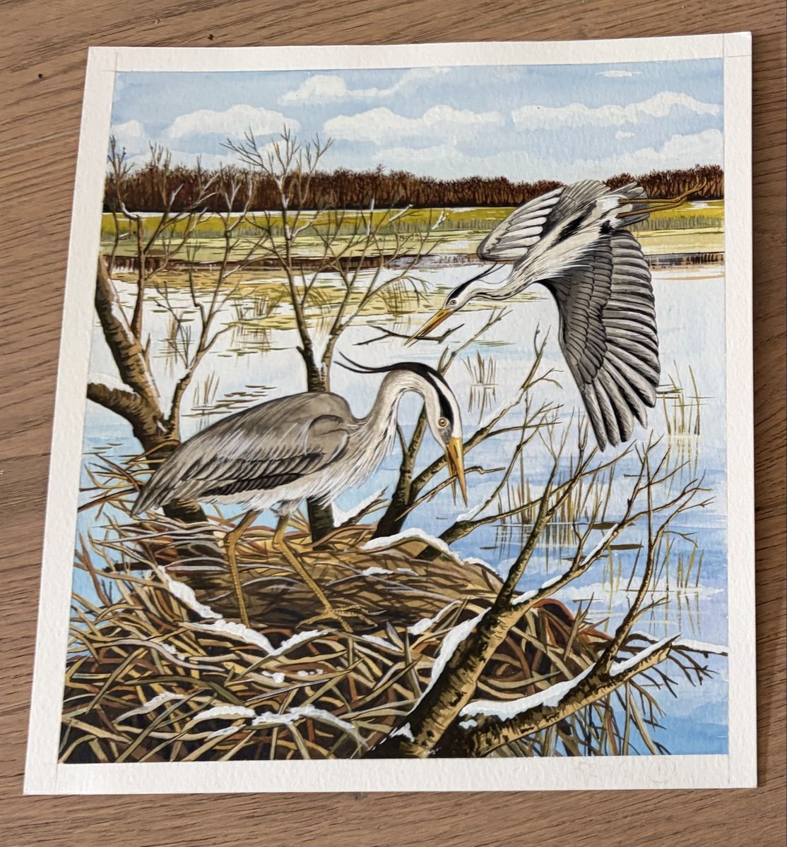 Dipinti: Original Bild Graureiher-Nest, handgemalt – Usato da Versoix venduto da chr_2rpz