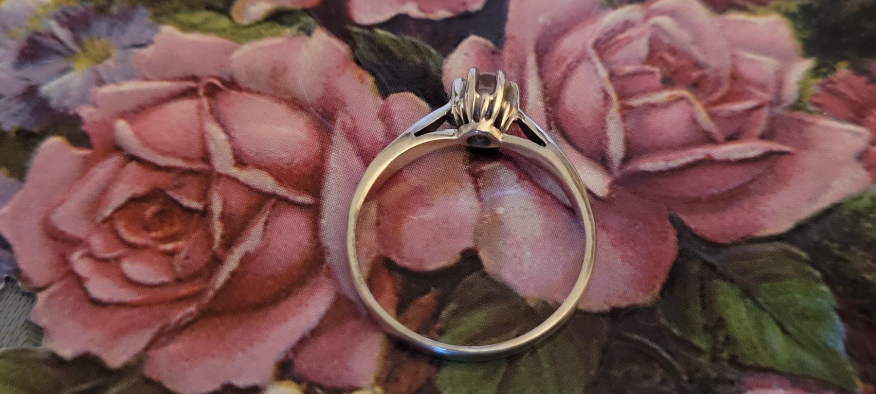 Anelli: Solitaire Ring 750 Weissgold Massiv – Nuovo (secondo la descrizione) da Winterthur venduto da Wohnhaus 6