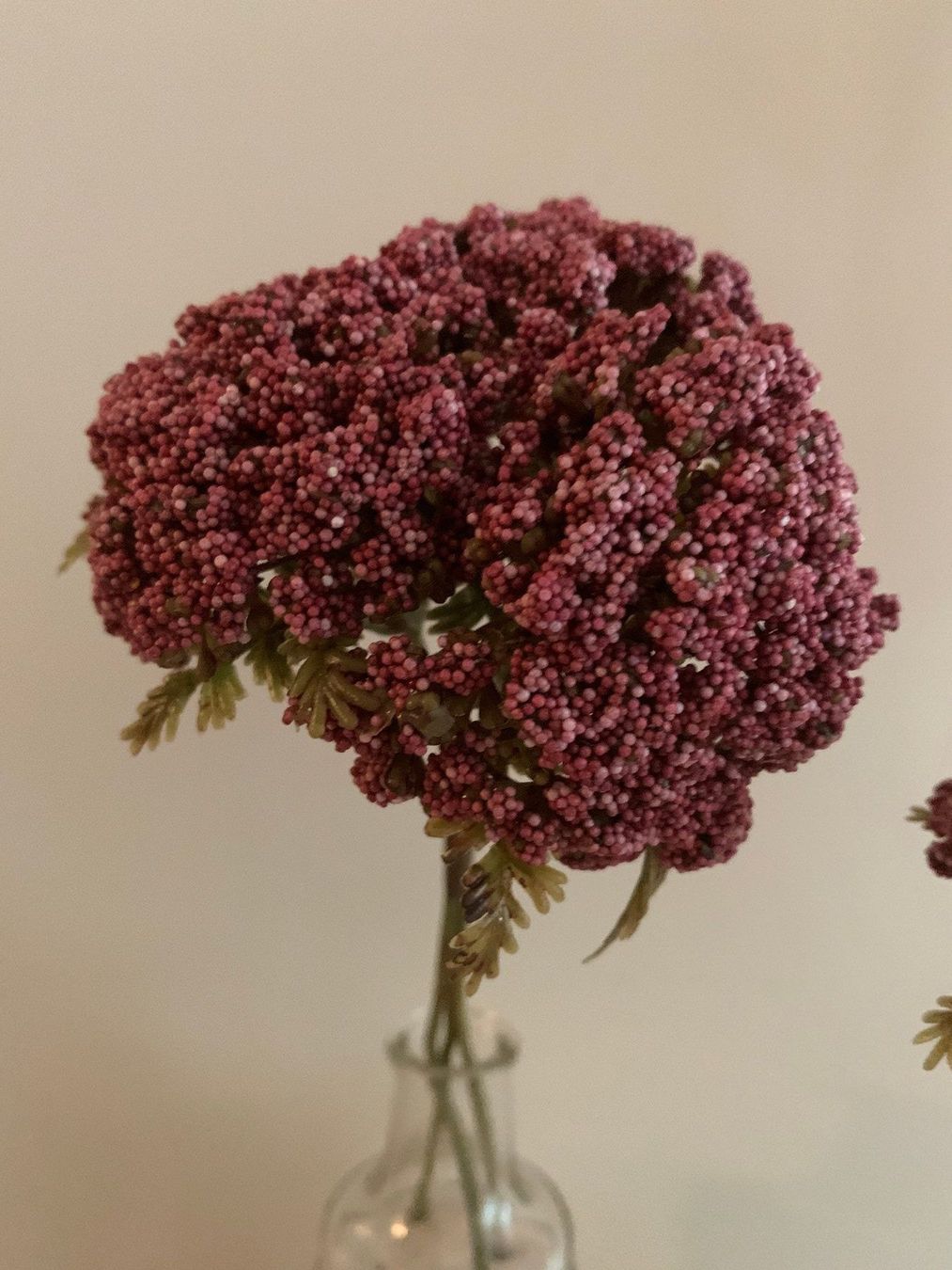Tutte le decorazioni: Beerenbündel pink, künstlich – Nuovo (secondo la descrizione) da St. Gallen venduto da Miousch 1
