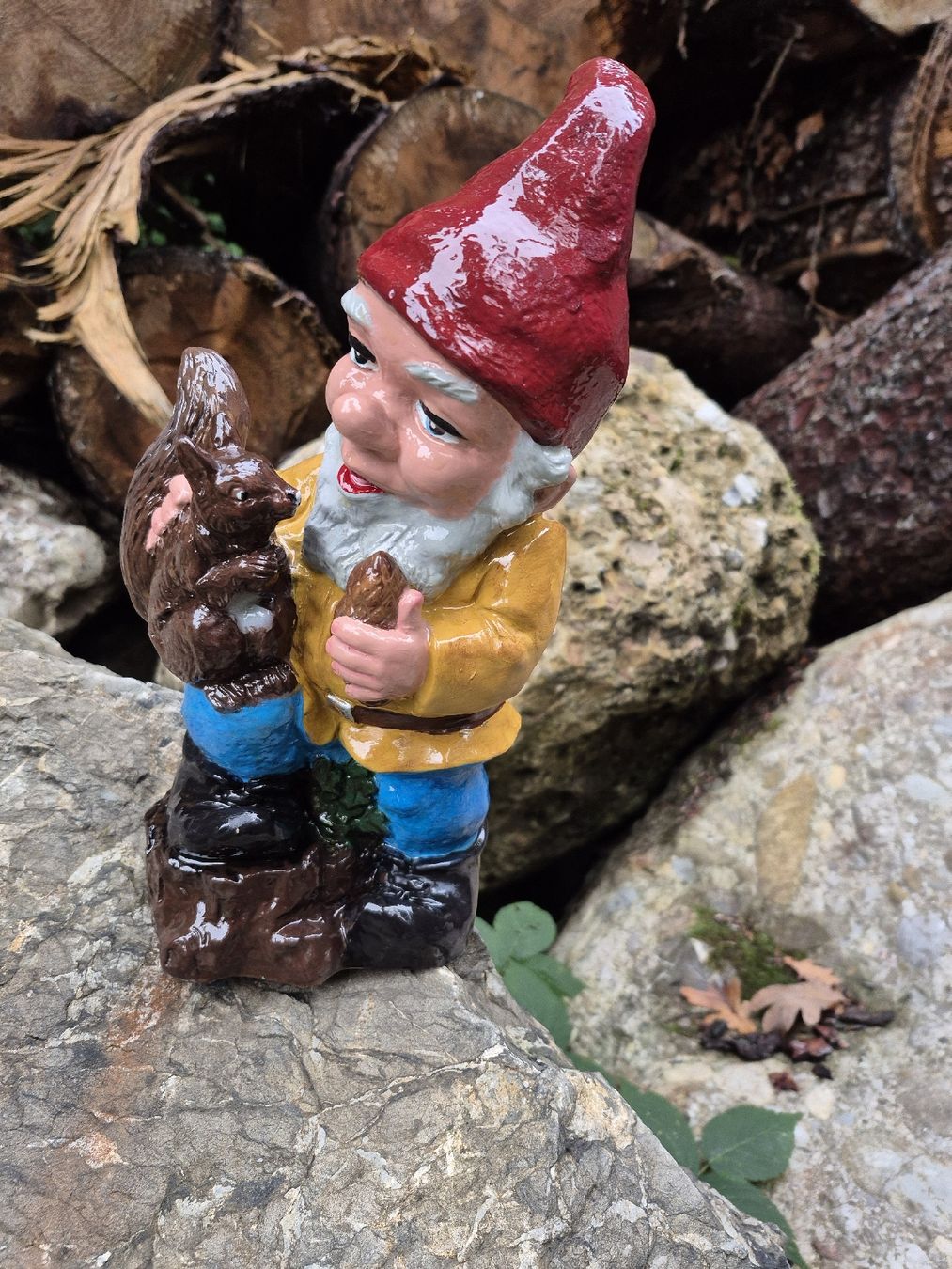 Statuette: Gartenzwerg mit Eichhörnchen – Usato da Baar venduto da Zwergen-Atelier4 2