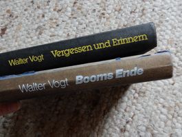 antike Bücher Walter Vogt: 2 Romane - Vergessen & Booms Ende