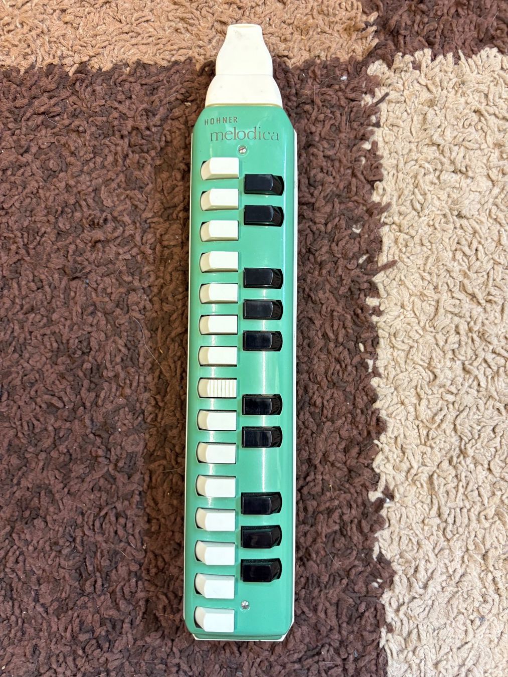 Hohner Instruments de musique: Hohner Melodica mit Etui – D'occasion à Wiesendangen par plus-minus 2
