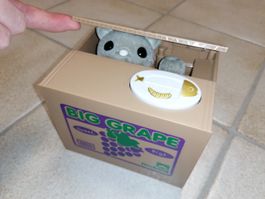 Sparschwein Spardose Katze interaktiv