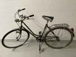 Condor Damenfahrrad 