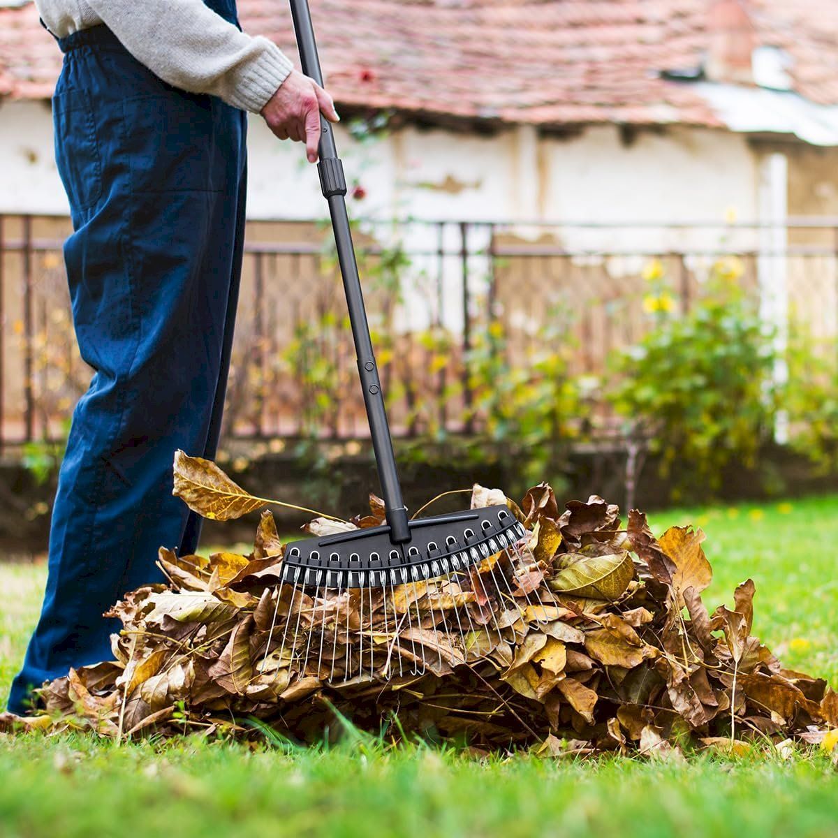 Heurechen: Vertikutierrechen 24 Federstahlzinken – Neu und originalverpackt aus Bottighofen von zaap 3
