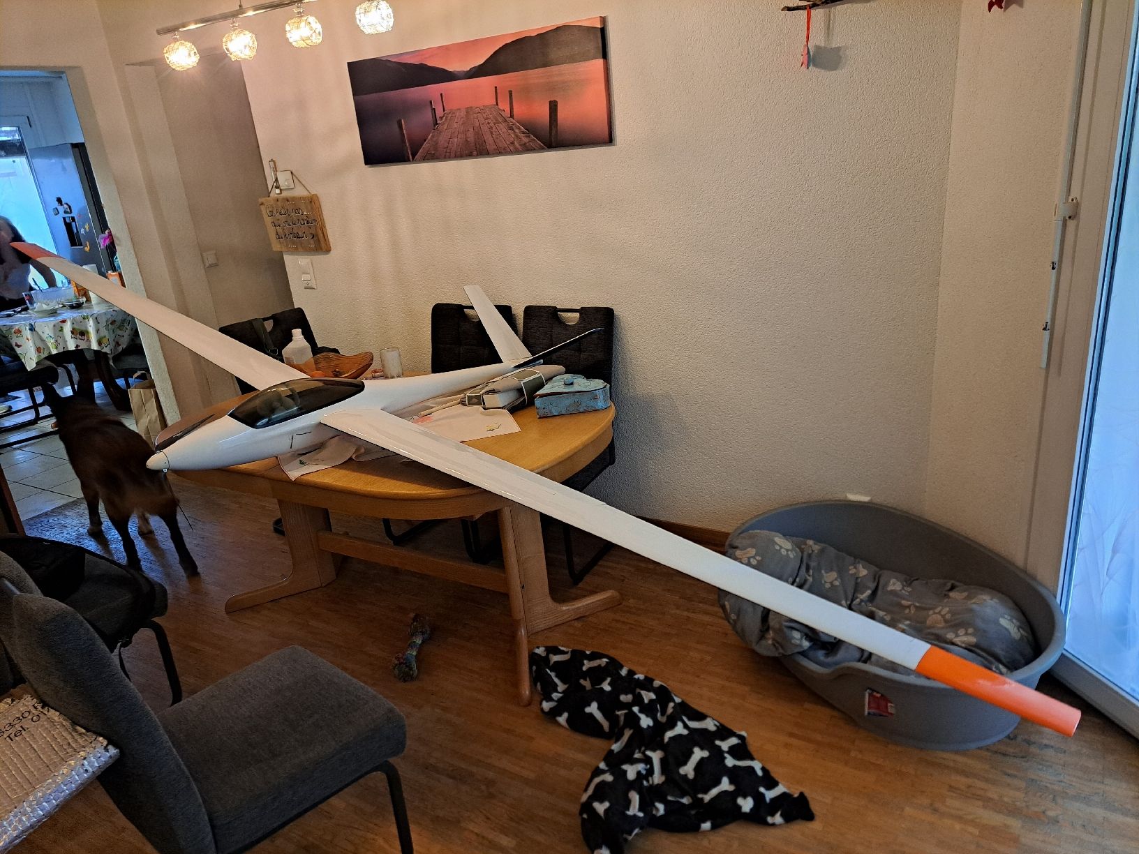 Modellismo RC: Salto 4m – Usato da Villars-sur-Glâne venduto da hyperpat01