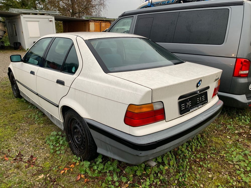 Bmw E36 Gebrauchtnull