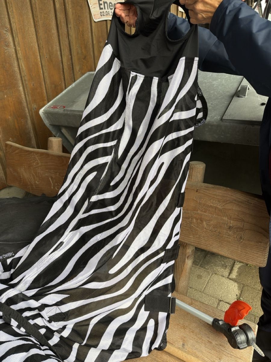 Couvertures: Pferdedecke Thermo Master Zebra Grösse 155cm – Neuf (Voir description) à Zofingen par roki_ch