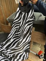 Pferdedecke Thermo Master Zebra Grösse 155cm
