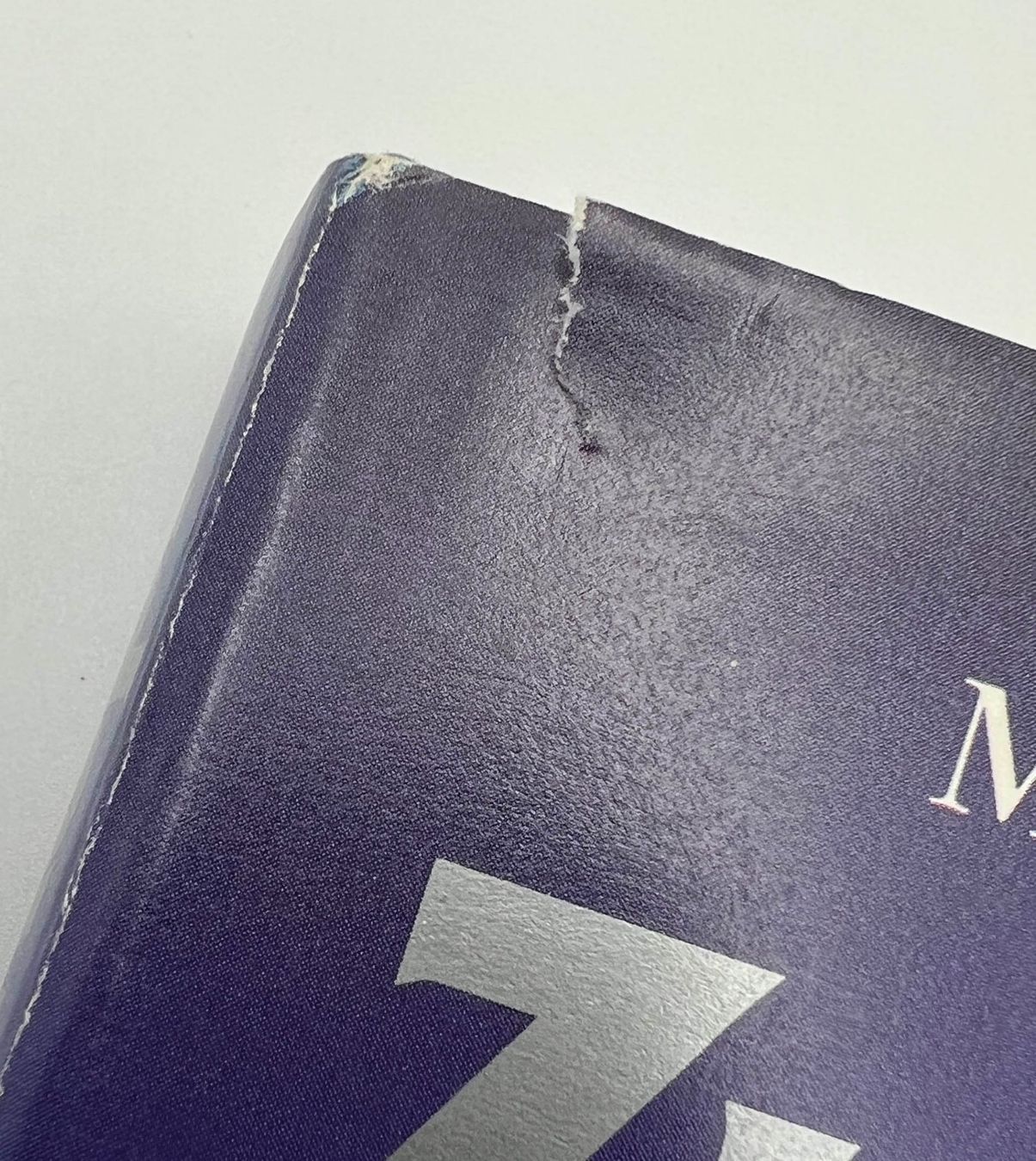 Libri: Magyar / Prange - Zukunft im Kopf – Usato da Häusernmoos venduto da Eselsohren 3