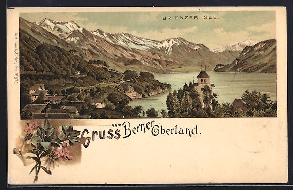 Cartoline postali: Litho Bern, Panorama vom Ort mit Blick a – Usato da Berlin venduto da bartko-reher