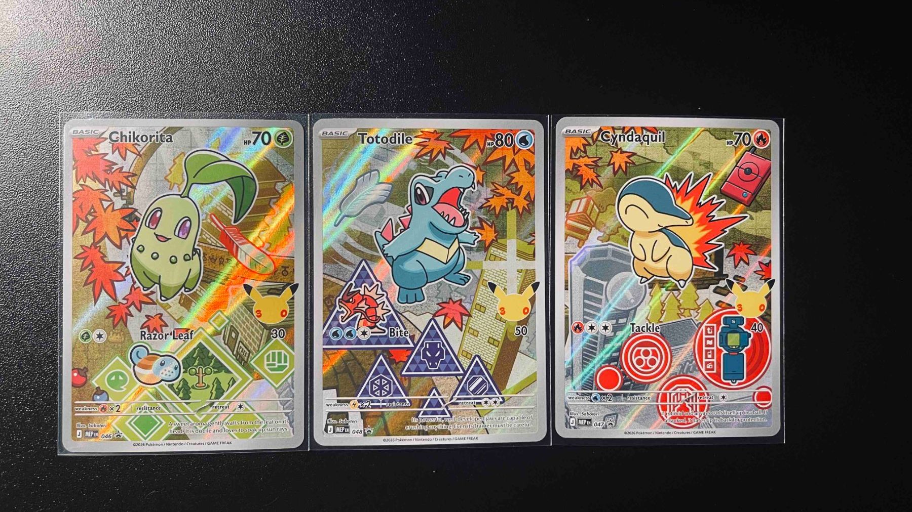 Pokémon Carte collezionabili: First Partner Serie 2 Johto EN – Usato da Lugano venduto da tri_z9tk