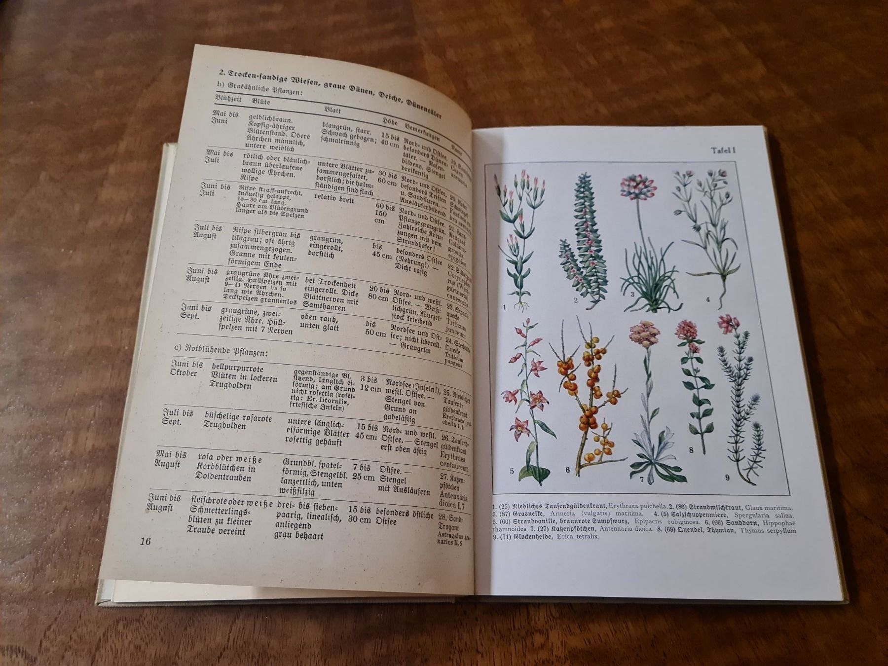 Livres: Was find ich am Strand? – D'occasion à Erstfeld par Uhu1980 1