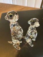 Swarovski, Erdmännchen