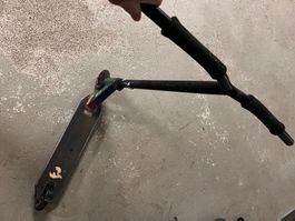 Regenbogen Chili Scooter