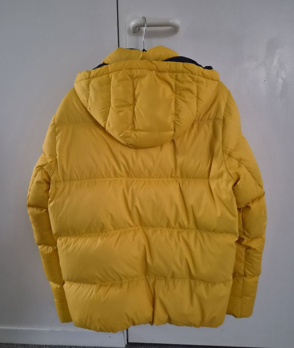 Tommy Hilfiger Giacche: Tommy Hilfiger Daunenjacke – Usato da Aarberg venduto da Italia24 1