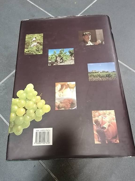 Libri: Weinbuch – Usato da Altdorf UR venduto da Tulipani0 1