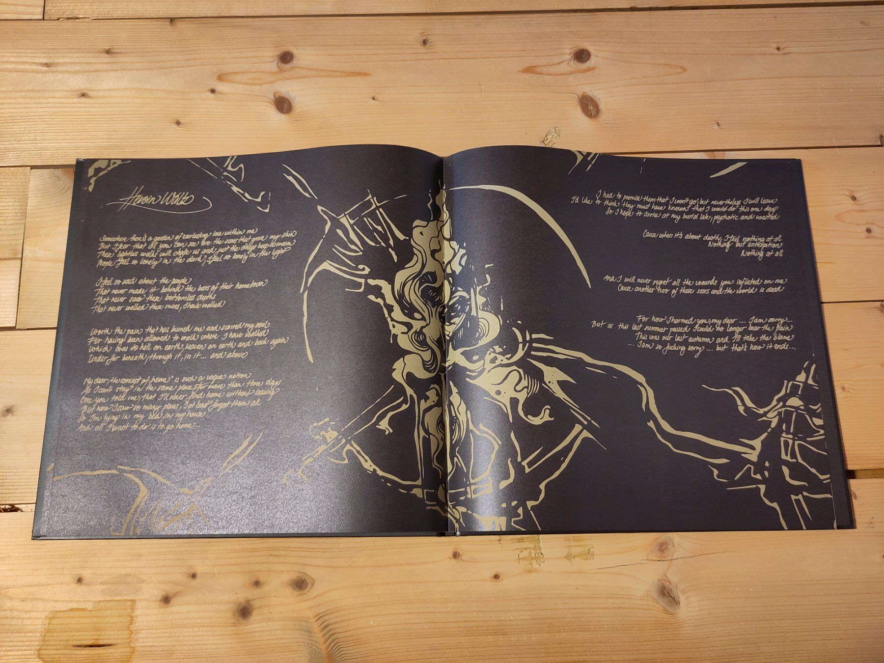 Dischi in vinile: Harakiri For The Sky - Arson – Usato da Wasterkingen venduto da Palu17 3