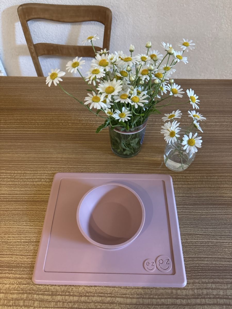 Piatti: Silikonteller mit Schale rosa gute Zustand – Usato da Lausanne venduto da bongsdibongs
