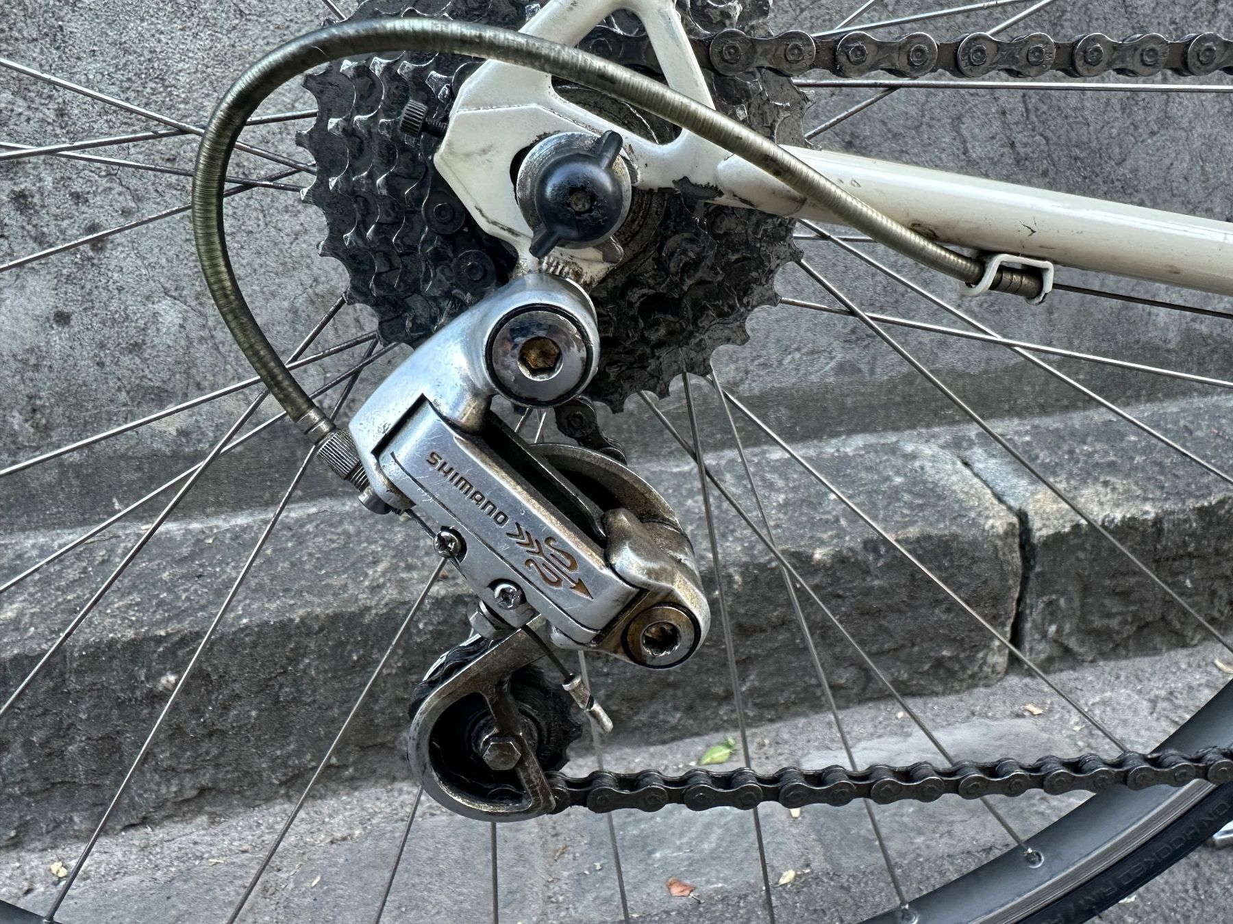 Biciclette: Coronado Rennvelo – Usato da Zürich venduto da cedkob 4