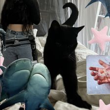 Profile image of stravvberryv