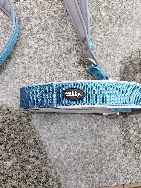 Leine & Halsband: Hundeleine mit Halsband – Gebraucht aus Rickenbach LU von trucker.s 1
