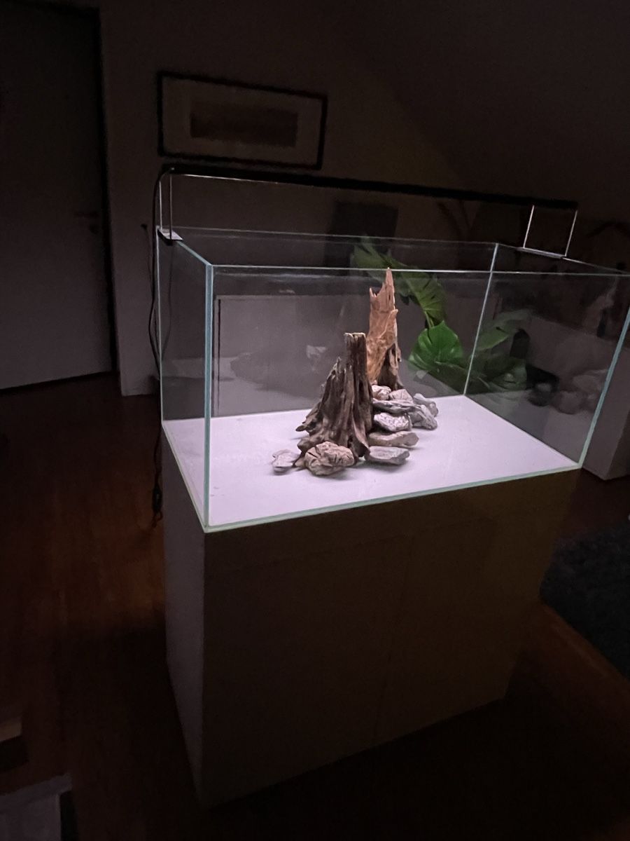 Aquarium: Aquarium 🐟 Pool Becken  – Gebraucht aus Hinwil von ron_t8wh 4