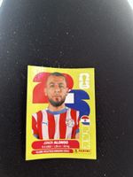 Panini PAR 8