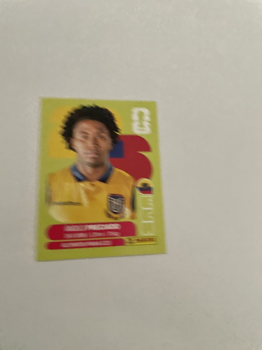 Panini Carte collezionabili: FIFA WM 2026 Angelo Preciado ECU 7 – Nuovo (secondo la descrizione) da Winterthur venduto da Cobraforce