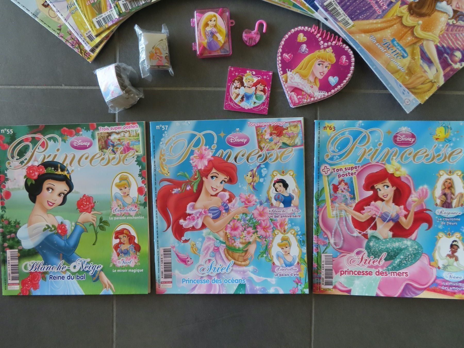 Riviste & Magazine: 15x Princesse & accessoires excellent état! – Nuovo (secondo la descrizione) da Wallenried venduto da Asyano 1