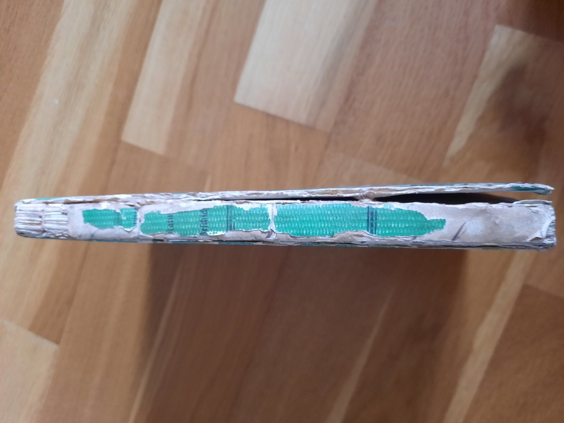 Libri: Antikes Naturkundebuch 1838 – Usato da Luzern venduto da Namruk01 4