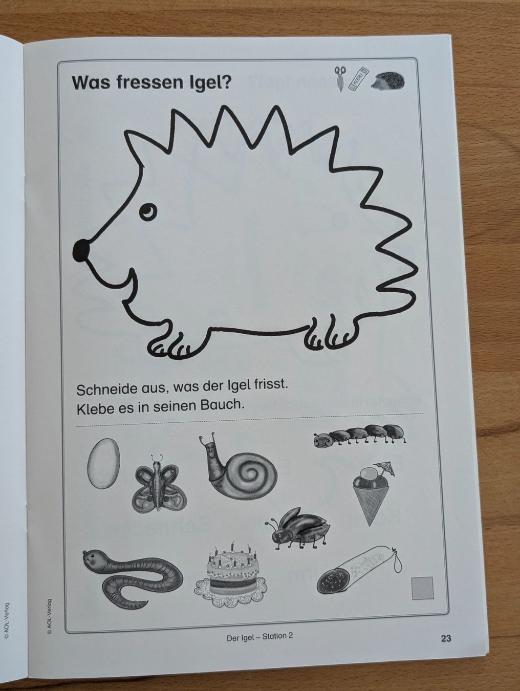 Libri: Didaktisches Material: Der Igel Klasse 1 mit CD – Usato da Weite venduto da Nur63 4