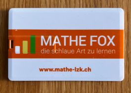Mathe Fox 6 USB-Stick mit Übungsmaterial