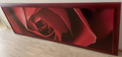 Foto & Immagini: Grosses Bild rote Rose 166 x 61cm – Usato da Zürich venduto da kirzuk