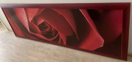 Grosses Bild rote Rose 166 x 61cm