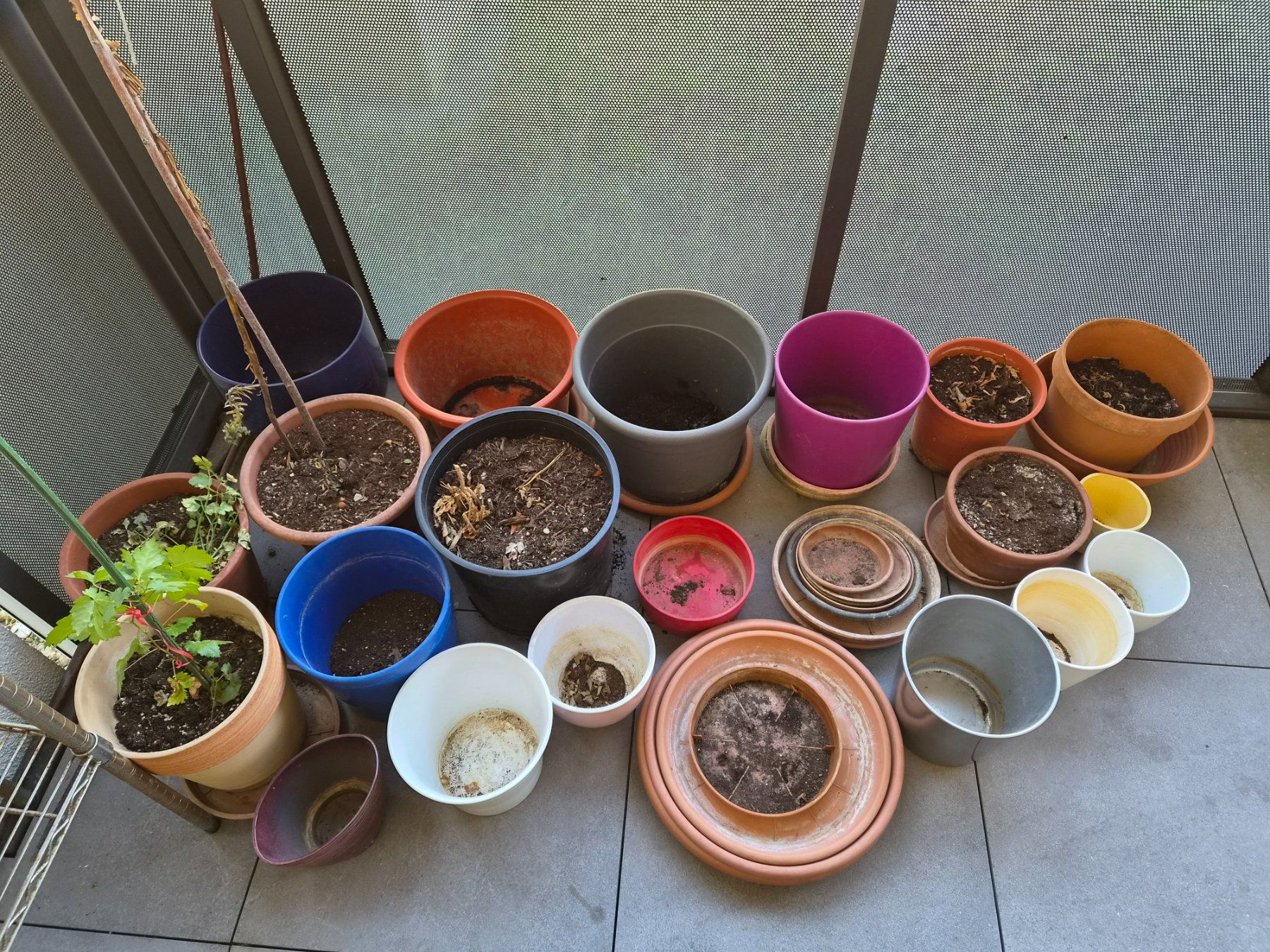 Vasi per fiori: Blumentöpfe diverses Material und Grösse gemischt ab 1.00 – Usato da Zürich venduto da Citalo 1