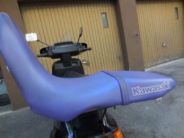 Kawasaki Sitz