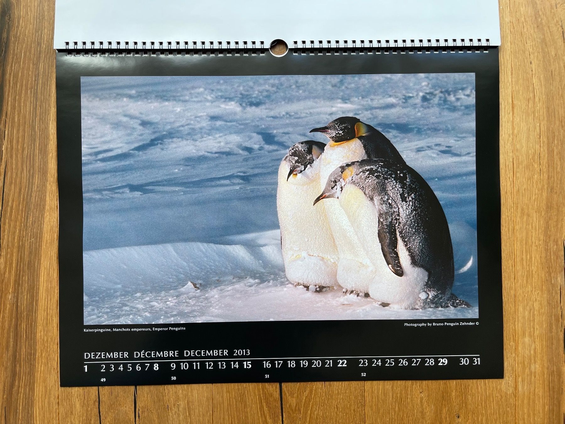 Kalender: Pinguin-Kalender (Bruno Zehnder) – Neu und originalverpackt aus Volketswil von doughboy 5